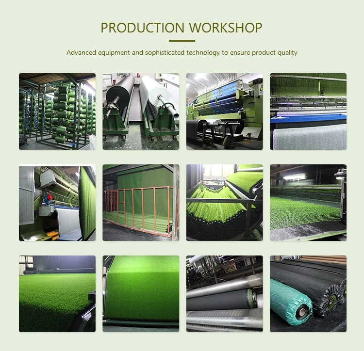 HTB1EW8X9CWBuNjy0Fhq6z6EVXay