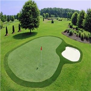 Gespa sintètica artificial per a golf